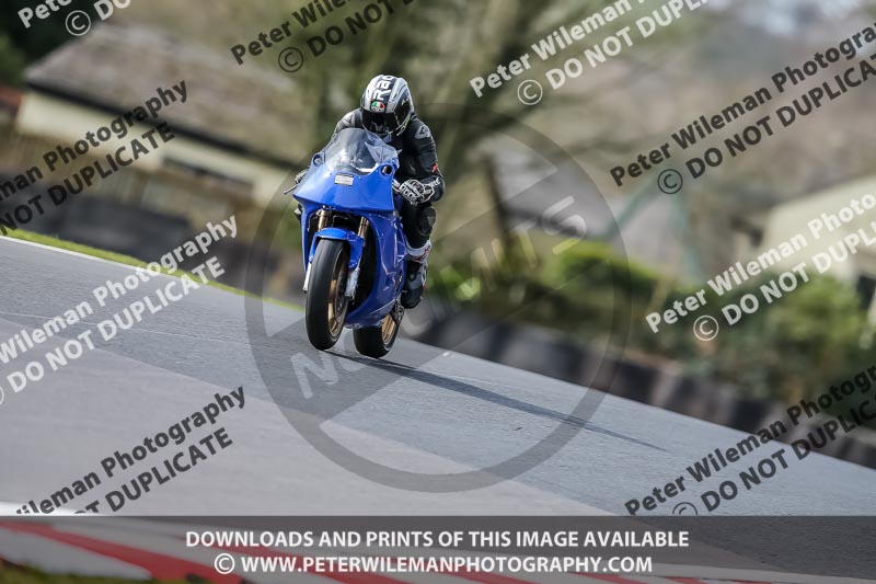 Oulton Park 21st March 2020;PJ Motorsport Photography 2020;anglesey;brands hatch;cadwell park;croft;donington park;enduro digital images;event digital images;eventdigitalimages;mallory;no limits;oulton park;peter wileman photography;racing digital images;silverstone;snetterton;trackday digital images;trackday photos;vmcc banbury run;welsh 2 day enduro